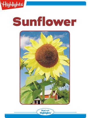 cover image of Sunflower